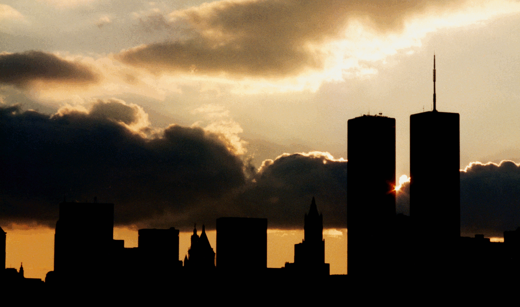 3. WTC_03 +6contrast-Cropped 09-016.jpg