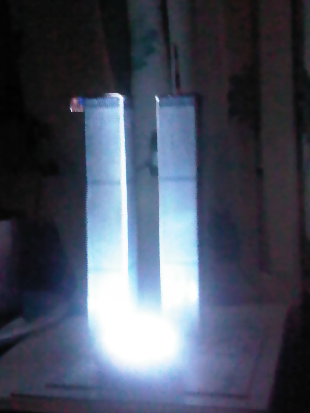 495026_4223.jpg