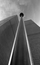 593281_369.jpg