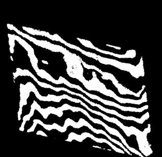 593306_270.jpg