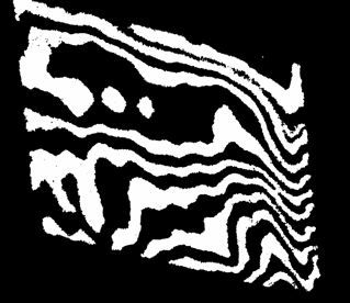 593306_272.jpg
