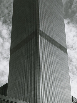 593396_1291.jpg