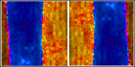 593421_803.jpg