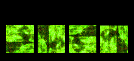593421_807.jpg