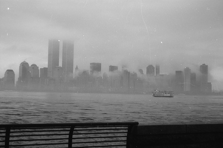 593686_1152.jpg