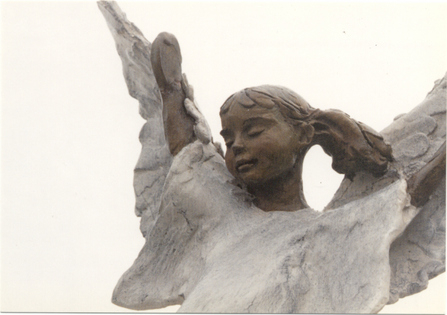 594116_1482.jpg