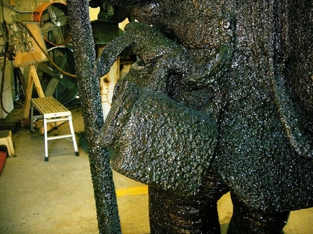 594716_1971.jpg