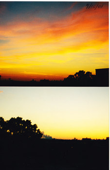 594916_2097.jpg