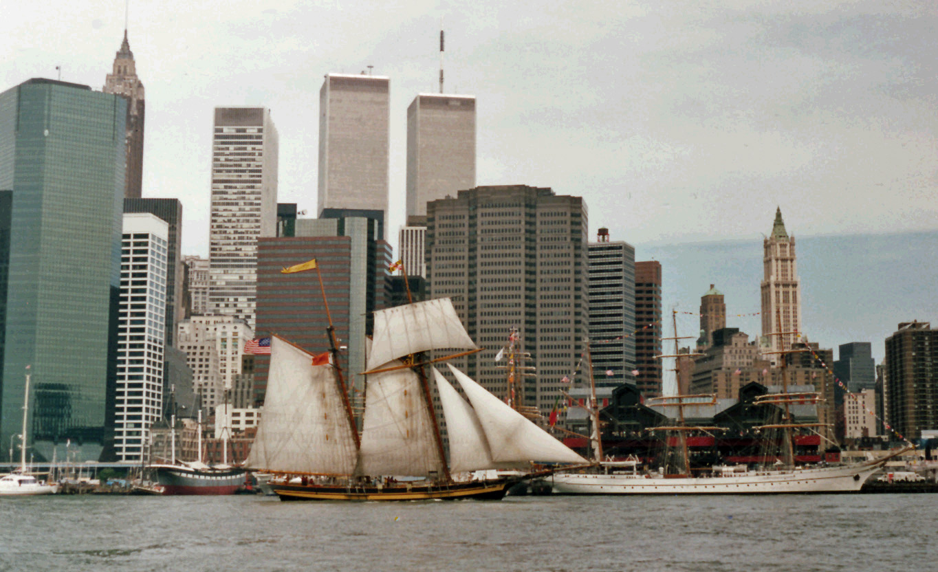 595761_2470.jpg