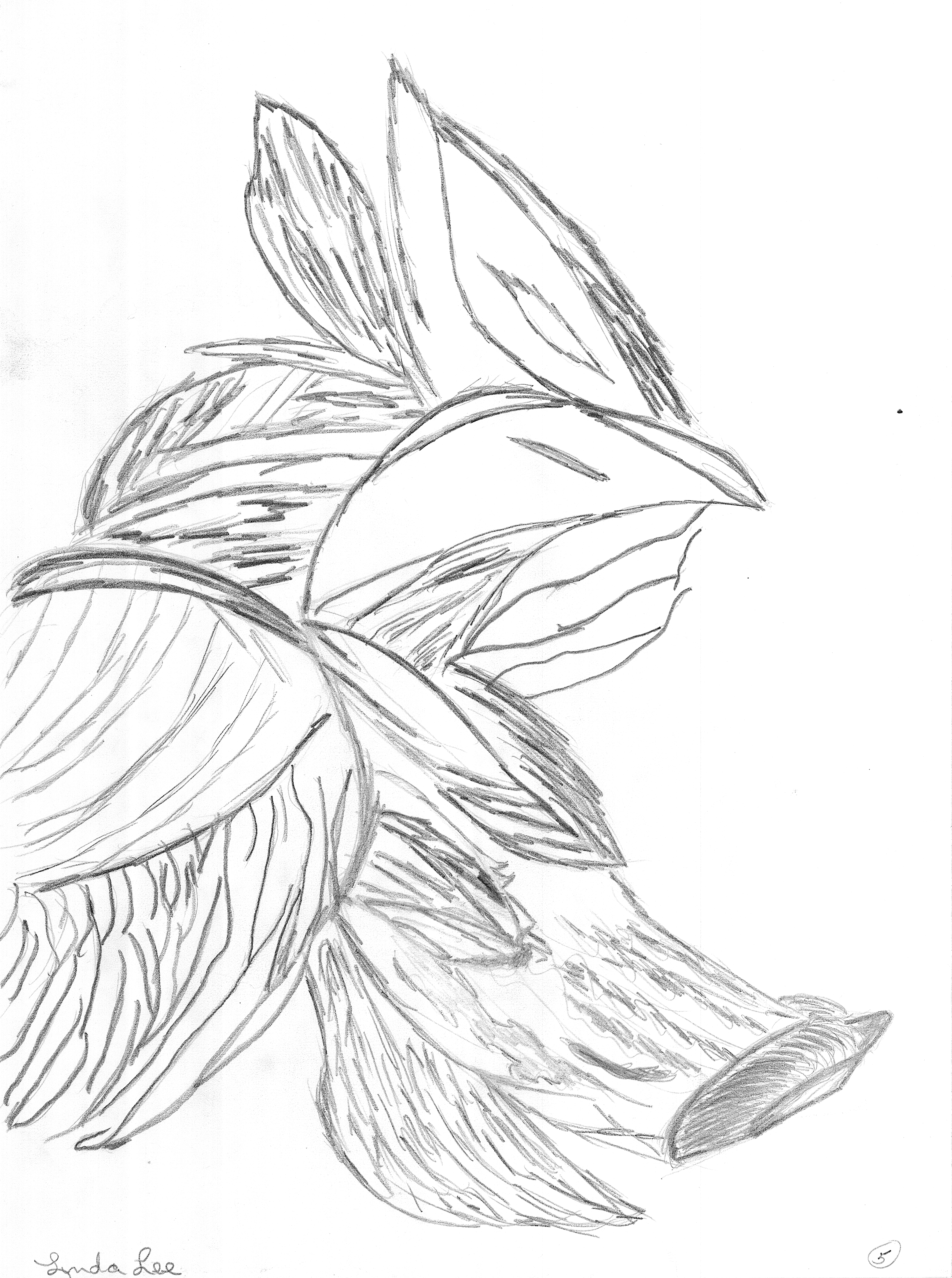 596081_2659.jpg