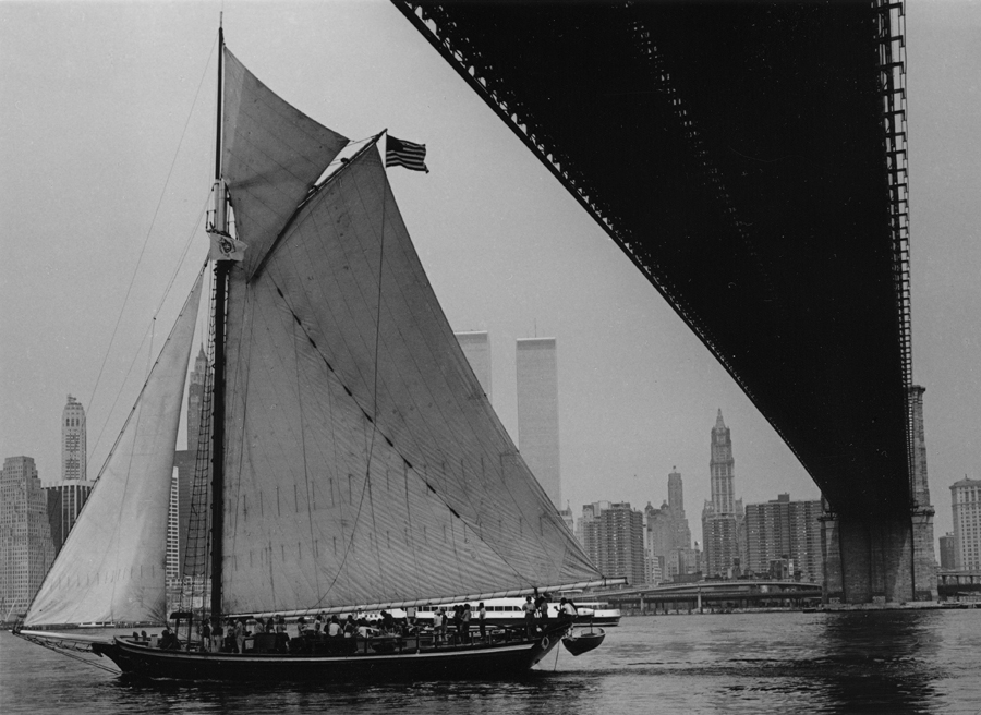 597136_3418.jpg