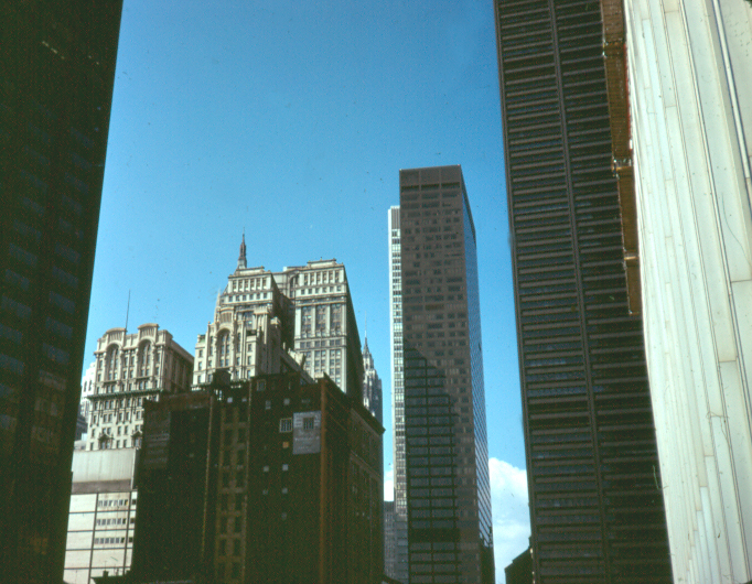 598406_4327.jpg