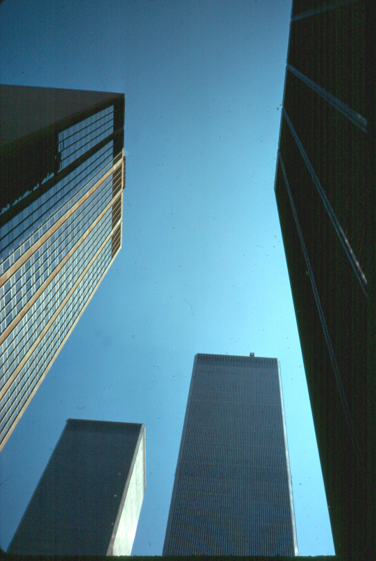 598406_4331.jpg
