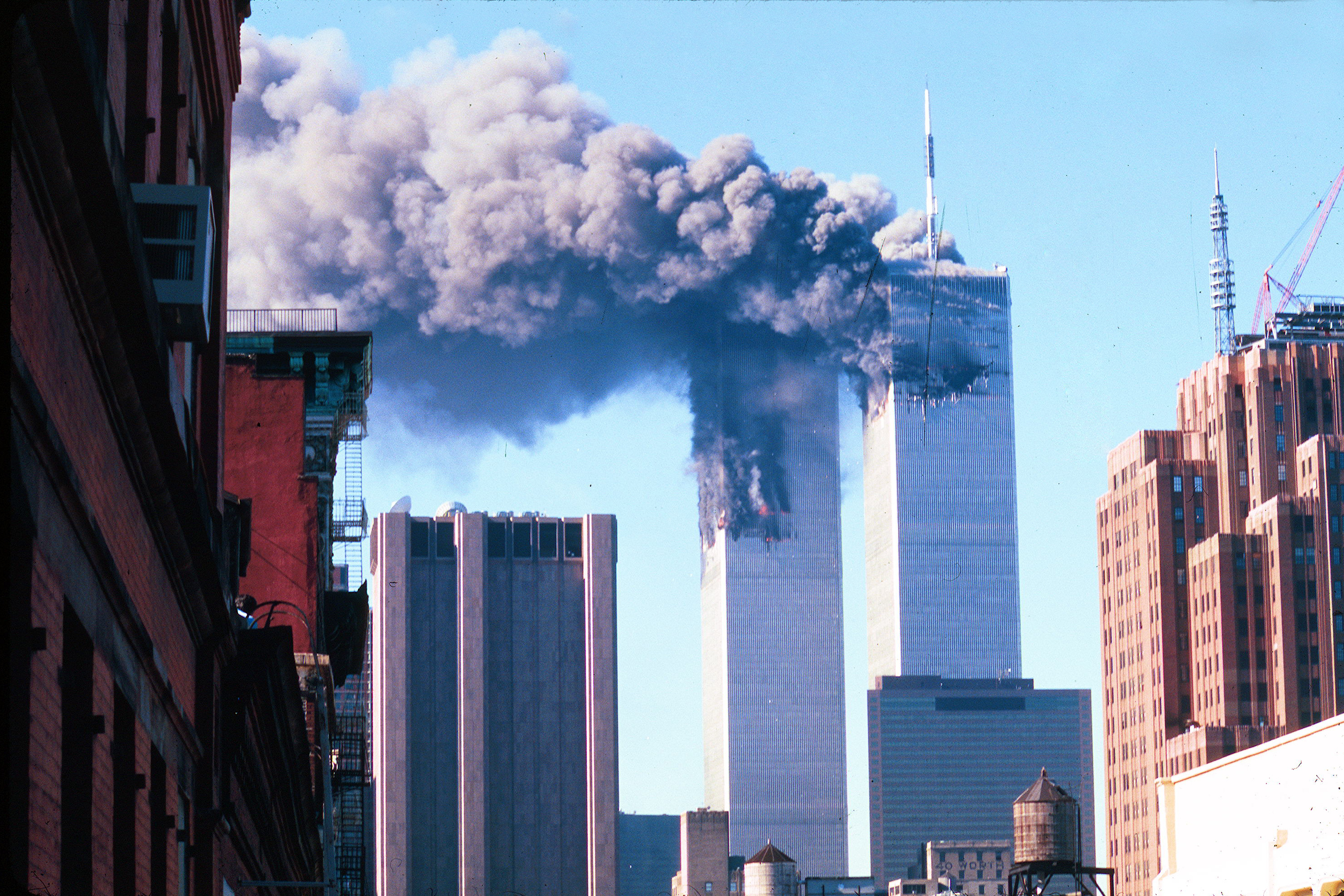 598501_4572.jpg