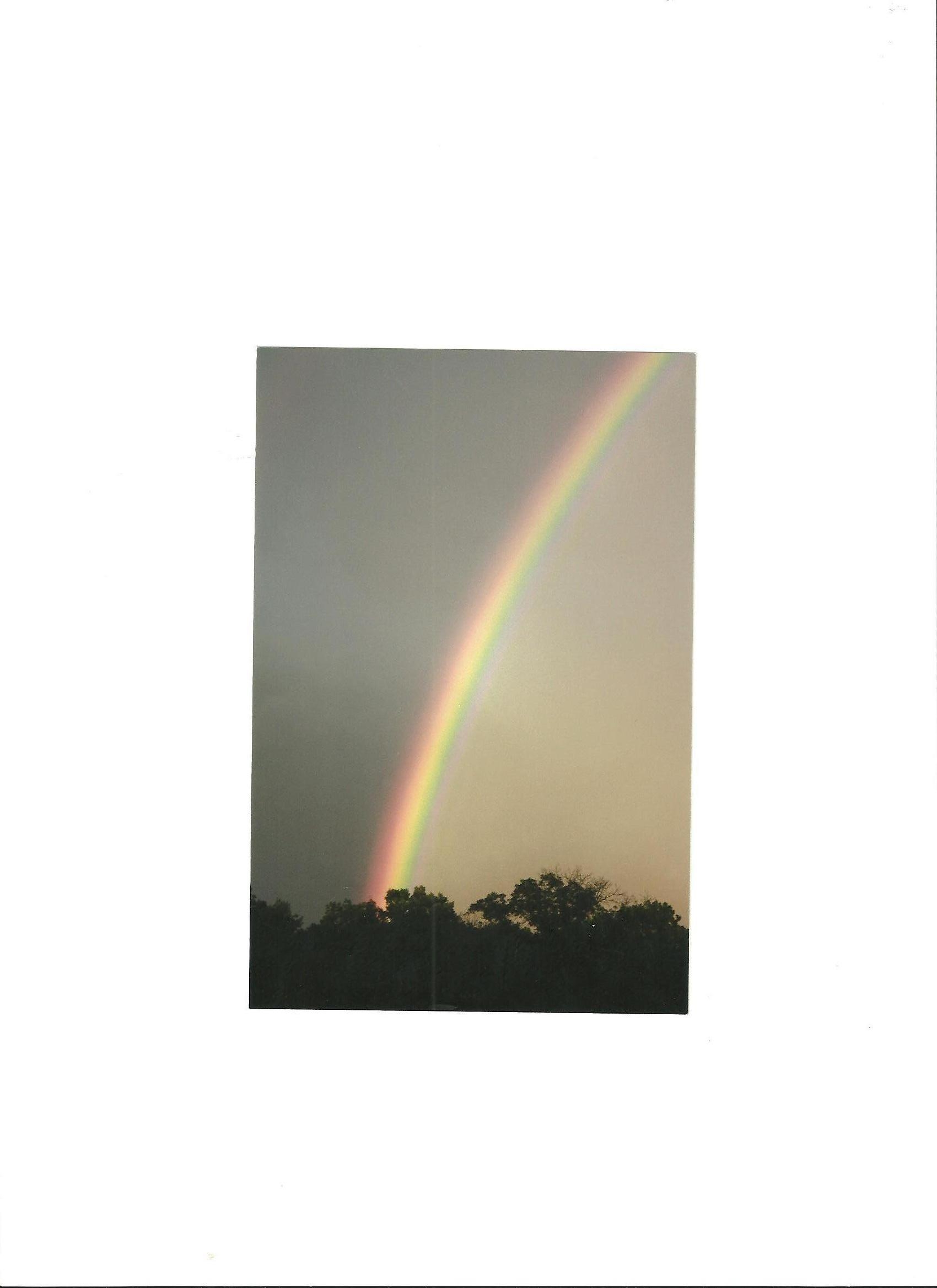 599026_4692.jpg