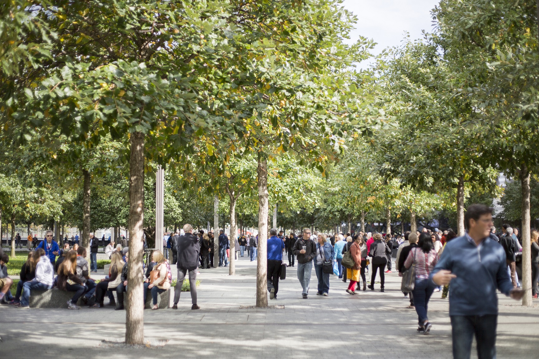 Visitors walk through the shade of the swamp white oak trees on Memorial plaza.