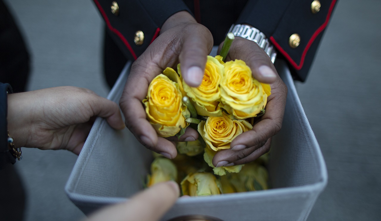 A pair of hands pull a group of yellow roses from a gray box.