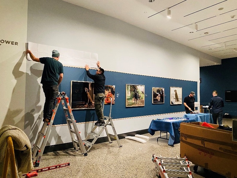 A photo of the installation of "K-9 Courage" exhibition. 