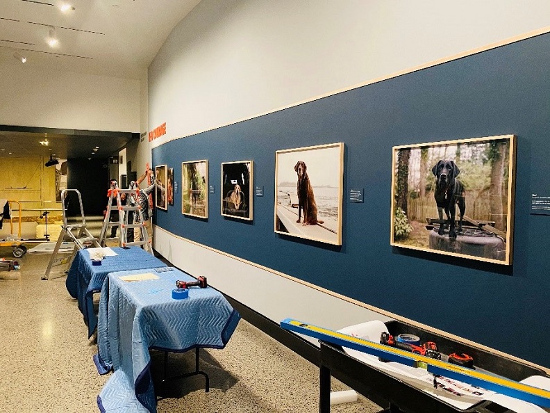 A photo of the installation of "K-9 Courage" exhibition. 