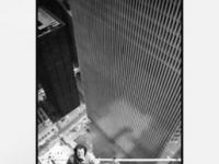 593036_650.jpg