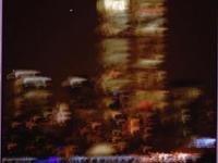 593056_75.jpg