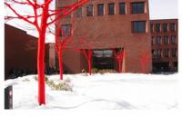 593091_1354.jpg
