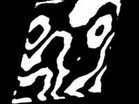 593306_271.jpg
