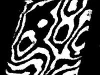 593306_276.jpg