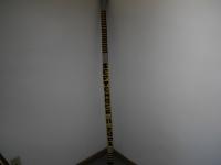 593561_923.jpg