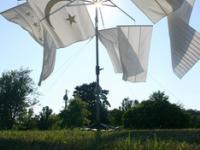 594096_1454.jpg