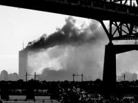 594571_1772.jpg