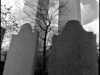 595141_3319.jpg