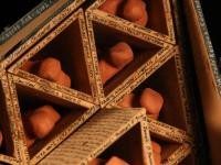 595301_2254.jpg