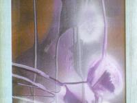 595341_2260.jpg