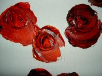 595741_2447.jpg