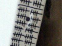595741_2449.jpg