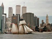 595761_2470.jpg