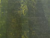 597221_3576.jpg