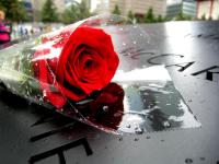 598896_4607.jpg