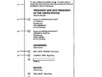 Election Ballot Figure 2.JPG