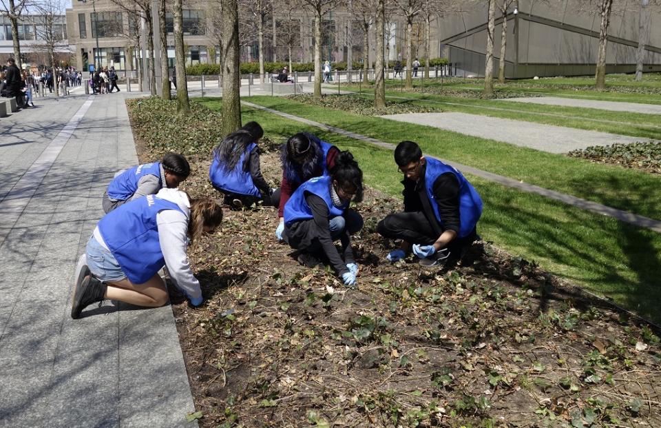 Six students kneel down in a bed of plants on Memorial plaza as they participate in National Volunteer Week.