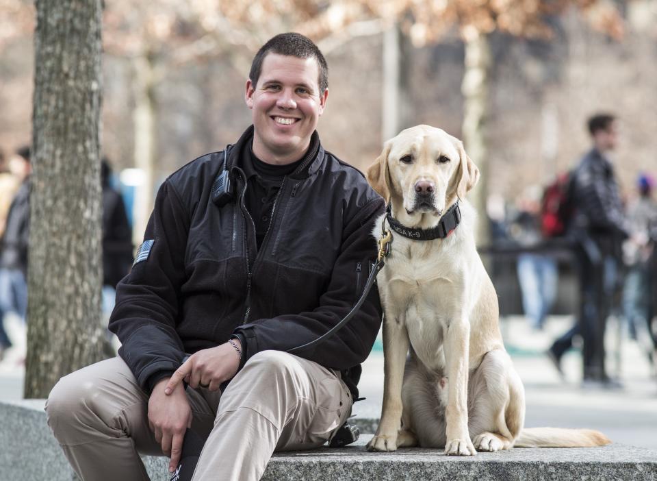 Eisner, a yellow Labrador who is an explosives-detection canine, sits beside his handler Thomas Brown at the 9/11 Memorial.